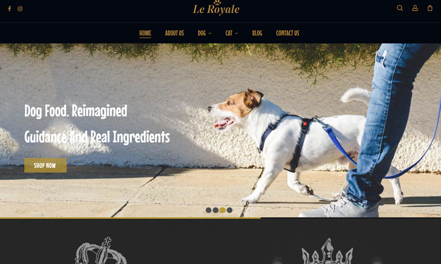 E-Commerce - Web Design & Web Development - Kuwait